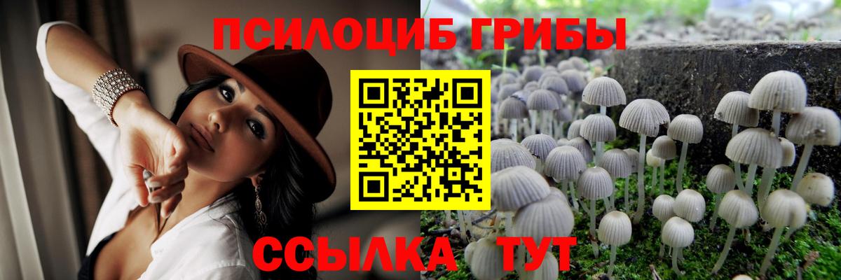 Псилоцибиновые грибы Psilocybe  Вход с VPN  Сосновоборск 